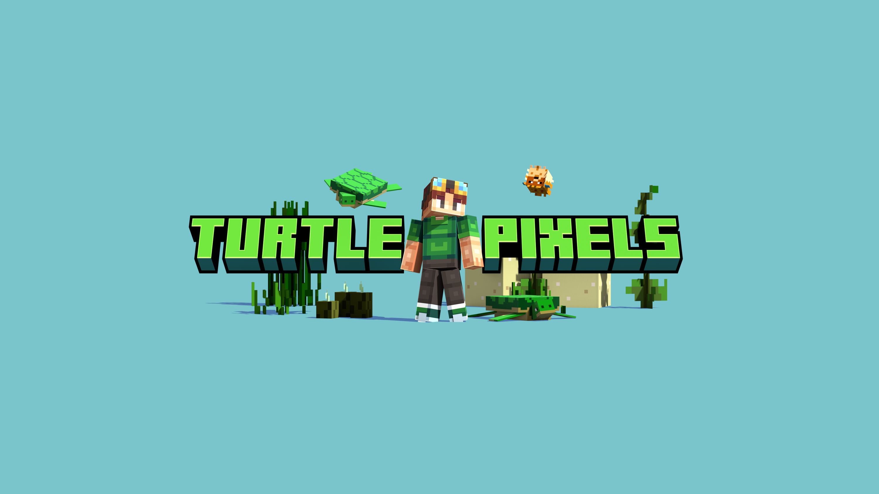 Turtle Pixels