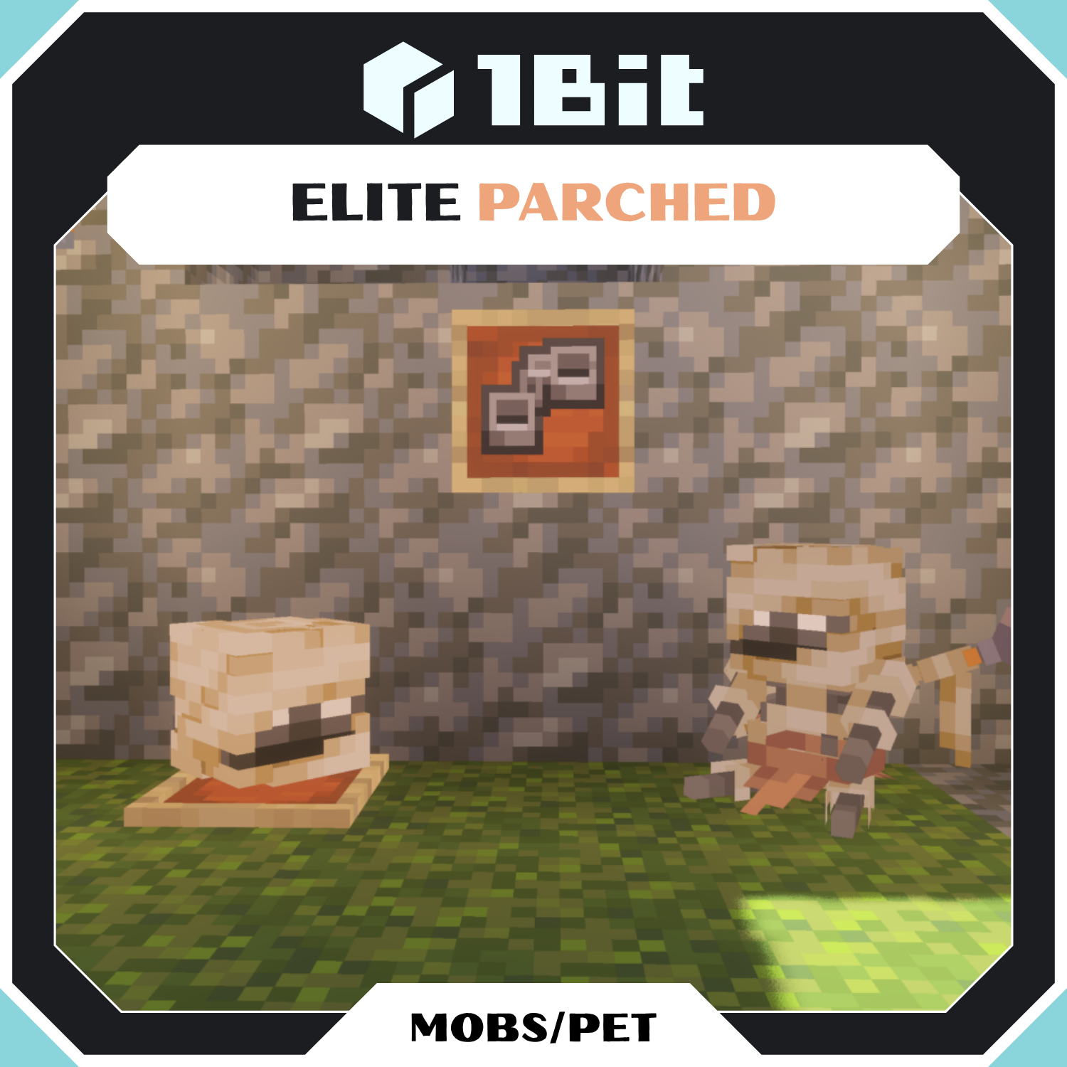 Elite Parched 6